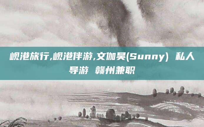 东台岘港旅行,岘港伴游,文伽昊(Sunny) 私人导游 赣州兼职