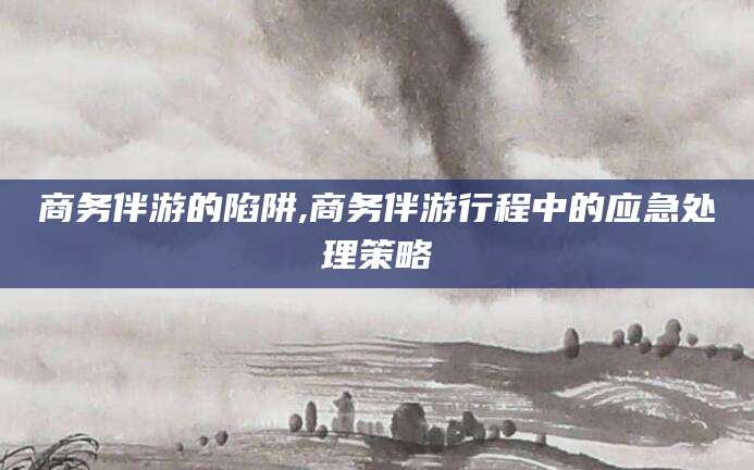 东台商务伴游的陷阱,商务伴游行程中的应急处理策略